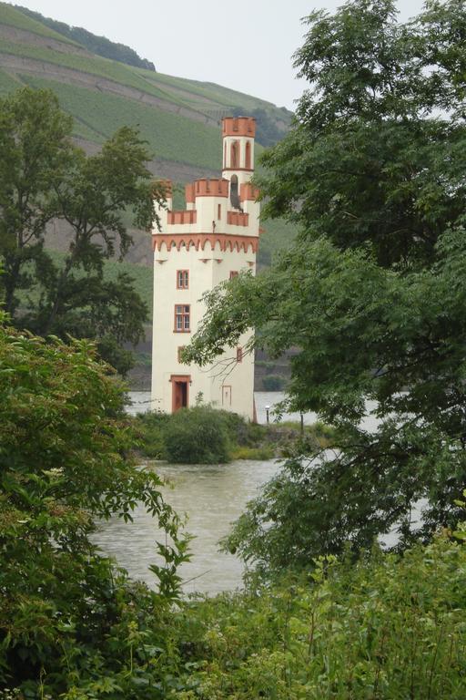 Hotel Gasthof Schuster Und Gaestehaus Rüdesheim am Rhein Exterior foto