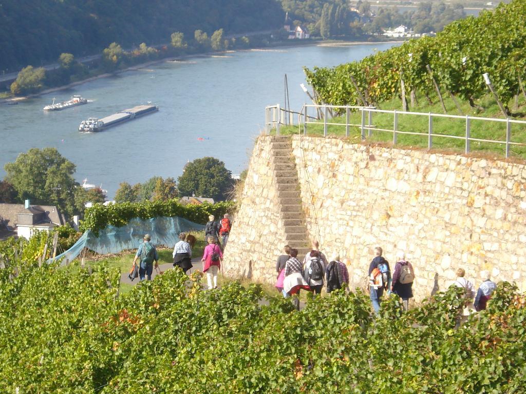 Hotel Gasthof Schuster Und Gaestehaus Rüdesheim am Rhein Exterior foto